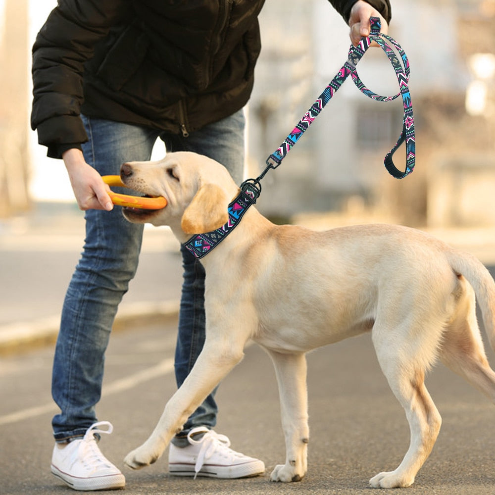 Soft Dog Leash  Padded Dog Collar Dogs